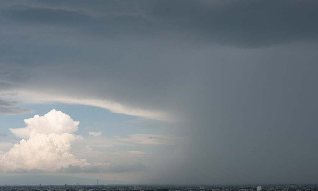 乱層雲・高層雲・積乱雲を比較した雲の特徴イメージ。雲の違いが分かる構図
