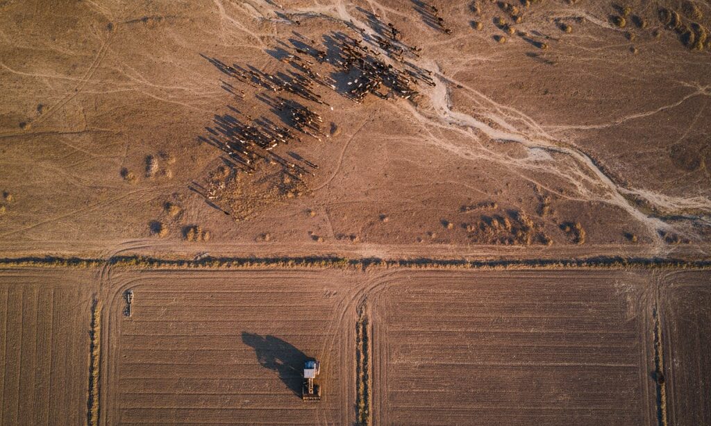 人間の活動による砂漠化のイメージ|過放牧や耕作の影響