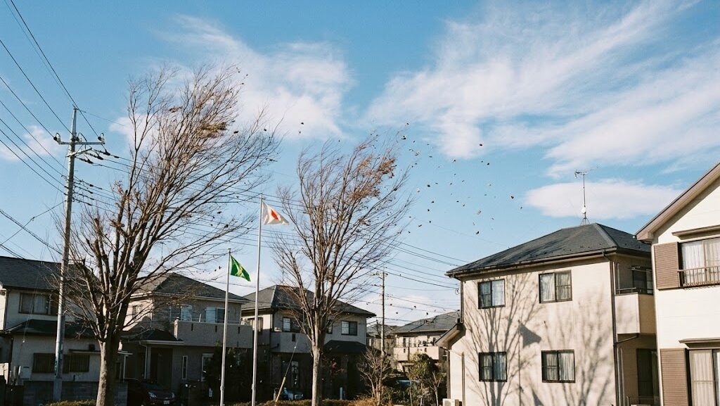 冬の乾燥した住宅街と風の様子から、1月に高まる火災リスクを表現した風景