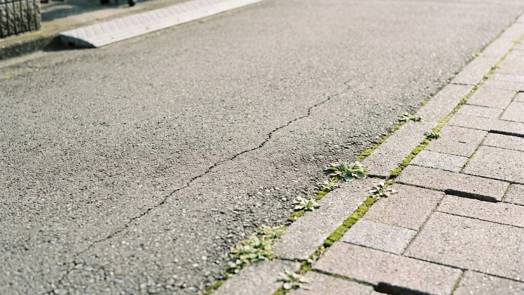 プレートの沈み込みによって巨大地震が発生する仕組みを理解できる実写風の地殻イメージ