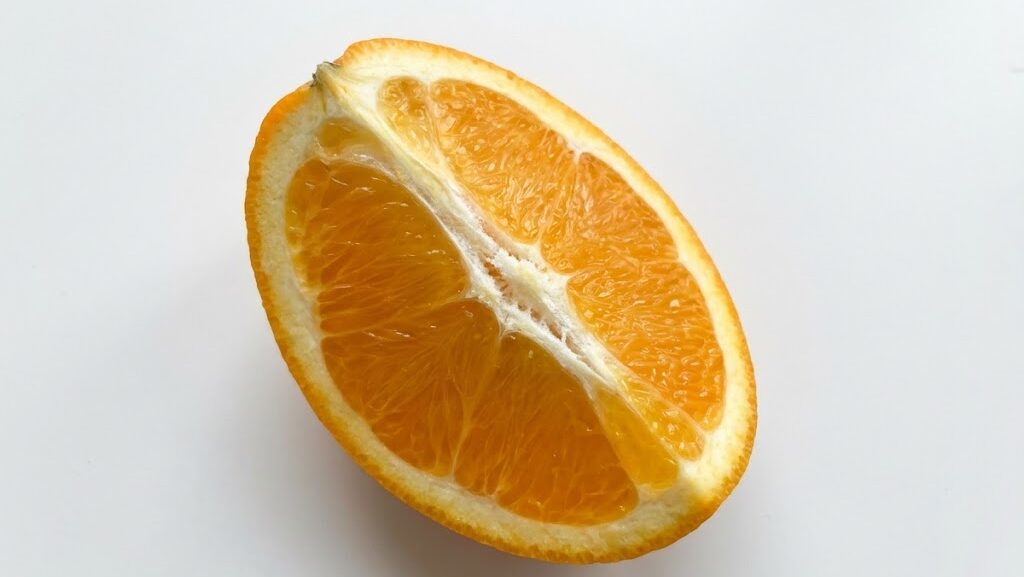 地球が球体であることで日本列島が弓なりになる理由を表現した立体的で分かりやすい実写風表現