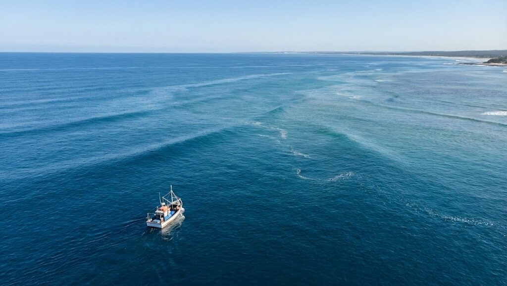 津波が深い沖合では大きなうねりとなり、船への影響が小さくなる様子