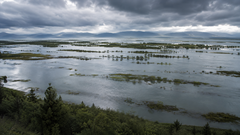 丘の上から見下ろした広大な氾濫域、水が大地を覆う自然現象のイメージ